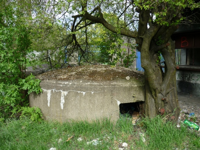 ul. Tarniny